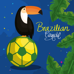 Canvas Print - poster of carnival brazilian with toucan and soccer ball