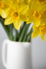 Daffodil yellow flowers bunch vase white spring time simple minimal calm