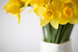 Fototapeta Tulipany - Daffodil yellow flowers bunch vase white spring time simple minimal calm