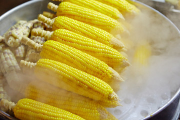 Wall Mural - Grilled corn at food market 