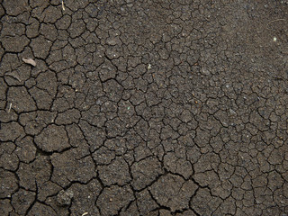 Sticker - crack ground texture, dry soil