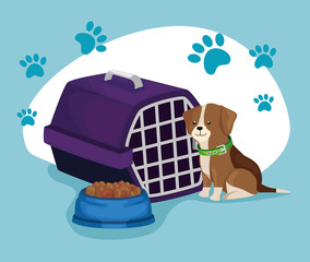 Poster - little dog with box transport and dish food animal