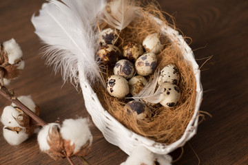 Colorful Easter eggs in nest and feathers on wooden table. Easter holiday decorations , Easter concept background.