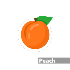 peach vector flat illustration icon