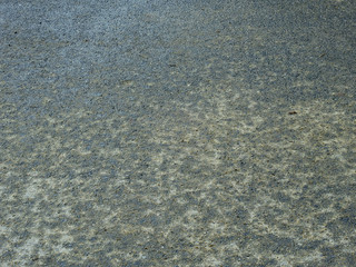 Poster - wet asphalt road texture