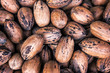 ripe pecan nuts texture