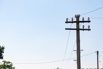 A telegraph pole near Wootton, Isle of Wight