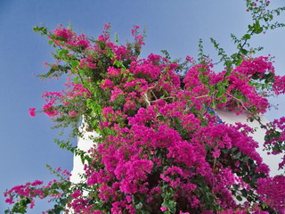 Poster - tunisia desert