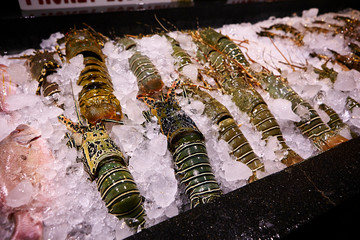 Wall Mural - South East Asia Seafood Market 