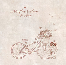 Decorative Garden Elements. Flowers In Bike Basket And Old Boot On Vintage Background. Doodle Sketch Illustration