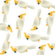 background of parrots birds exotic vector illustration design