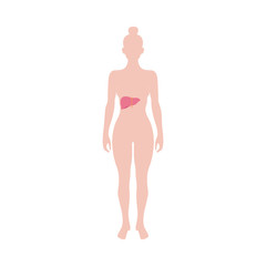 Female organism infographic with liver sign flat vector illustration isolated.