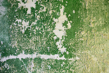 Green peeling paint on old wall