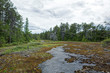 Bog in Bruce Peninsula Canada. A bog is a wetland that accumulates peat, a deposit of dead plant material often mosses, and in a majority of cases, sphagnum moss.