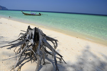 Wall Mural - beach