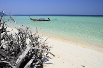 Wall Mural - boat on the beach