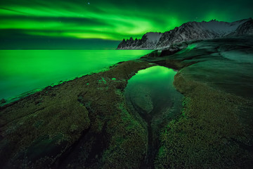 Wall Mural - aurora on senja