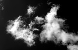 Fototapeta Łazienka - Fog or smoke isolated transparent