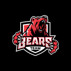 modern professional grizzly bear logo for a sport team