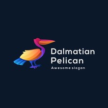 Vector Logo Illustration Pelican Elegant Gradient Colorful