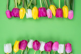 Fototapeta Tulipany - Above overhead close up view photo of beautiful different holland tulips isolated over vivid background with place for design text