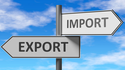 Wall Mural - Export and import as a choice - pictured as words Export, import on road signs to show that when a person makes decision he can choose either Export or import as an option, 3d illustration