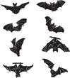 Bat, bat in flight, in motion, in different positions, illustration, black and white