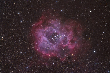 Wall Mural - the rosette nebula with the open star cluster ngc2244 at the centre , cornwall, uk