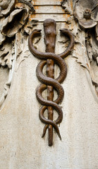 Wall Mural - Close-up of a caduceus or a Rod of Asclepius with a pair of snakes twisted around a stick, symbolical decoration on the wall of an old pharmacy, Turin, Piedmont, Italy