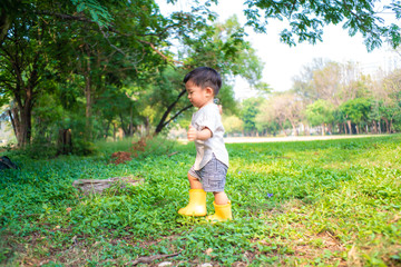 Adorable 1-2 year baby boy playing on green grass sunny day summer tropical park forest