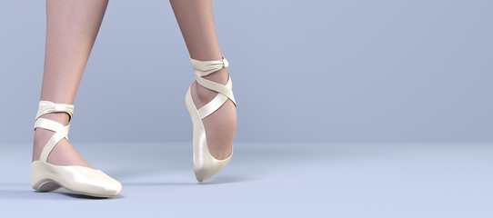 3D Ballerina legs in light classic pointe shoes.