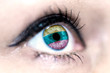 Flag of lithuania reflects in a woman blue eye - election, sport, hope, young, generation, pride, dream, emotion, independance	