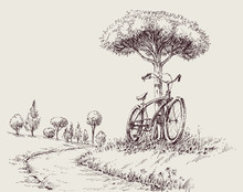 Park Landscape Sketch, An Alley And A Bike Near A Tree