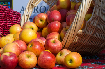 Basket of Apples