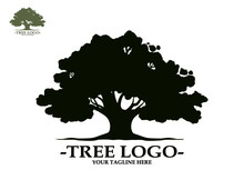 Trees With Green Leaves Look Beautiful And Refreshing.Tree And Roots LOGO Style.Can Be Used For Your Work.