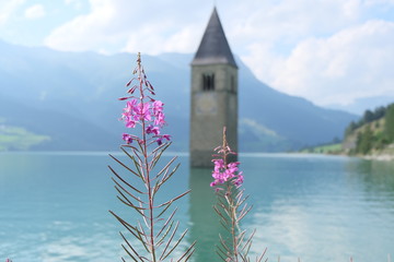 Wall Mural - Lago di Resia - Campanile nel lago