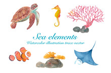 海のいきもの色々（ウミガメ、マンタ、カクレクマノミ、タツノオトシゴ、サンゴ）　水彩イラストのトレースベクター
