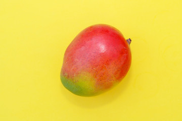 Wall Mural - Tropical fruit mango on yellow background.