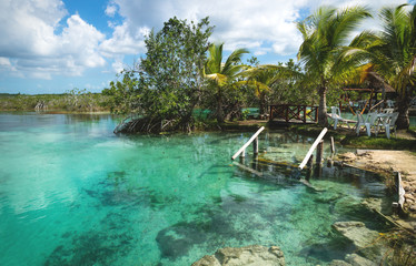 stairs into seven colored lagoon surrounded by tropical plants in bacalar, quintana roo, mexico