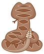 © BNP Design Studio - Rattle Snake Back View Illustration