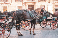 Horse Carriage Waits For Tourists In Historical Center Of Rome.