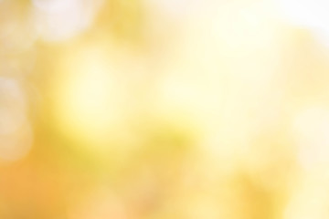 Wall Mural - yellow and orange color abstract bacground withe blurred defocus bokeh light for template
