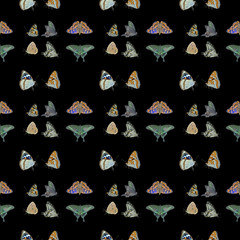 Poster - Butterflis. Seamless pattern.