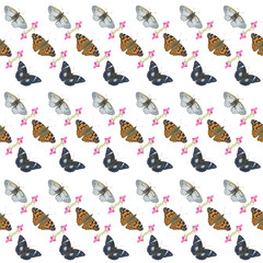 Sticker - Butterflis. Seamless pattern.