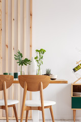 Wall Mural - Green plants in small vases on long wooden dining table in bright interior