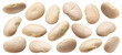 White bean collection isolated on white background