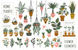 Houseplants flowerpots isolated icons vector illustration. Decorative home plants, botanical icons and stickers. Flower pots and kitchen herbs, hanging plants, floral decorations collection.