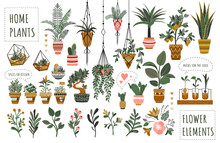 Houseplants Flowerpots Isolated Icons Vector Illustration. Decorative Home Plants, Botanical Icons And Stickers. Flower Pots And Kitchen Herbs, Hanging Plants, Floral Decorations Collection.