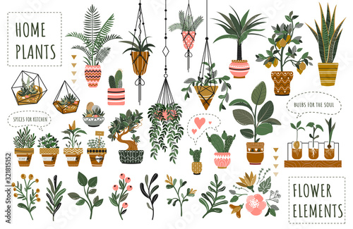 Fotomural Houseplants flowerpots isolated icons vector illustration