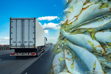 Poster - fish briquettes on the background of a truck. transportation of frozen food. a refrigerator truck tr